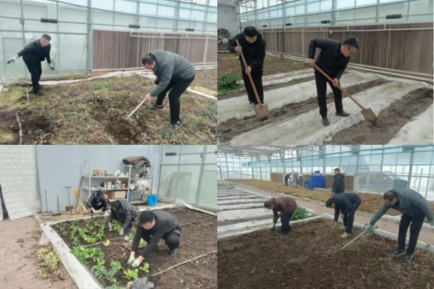 1768896657668782.jpg heji.jpg